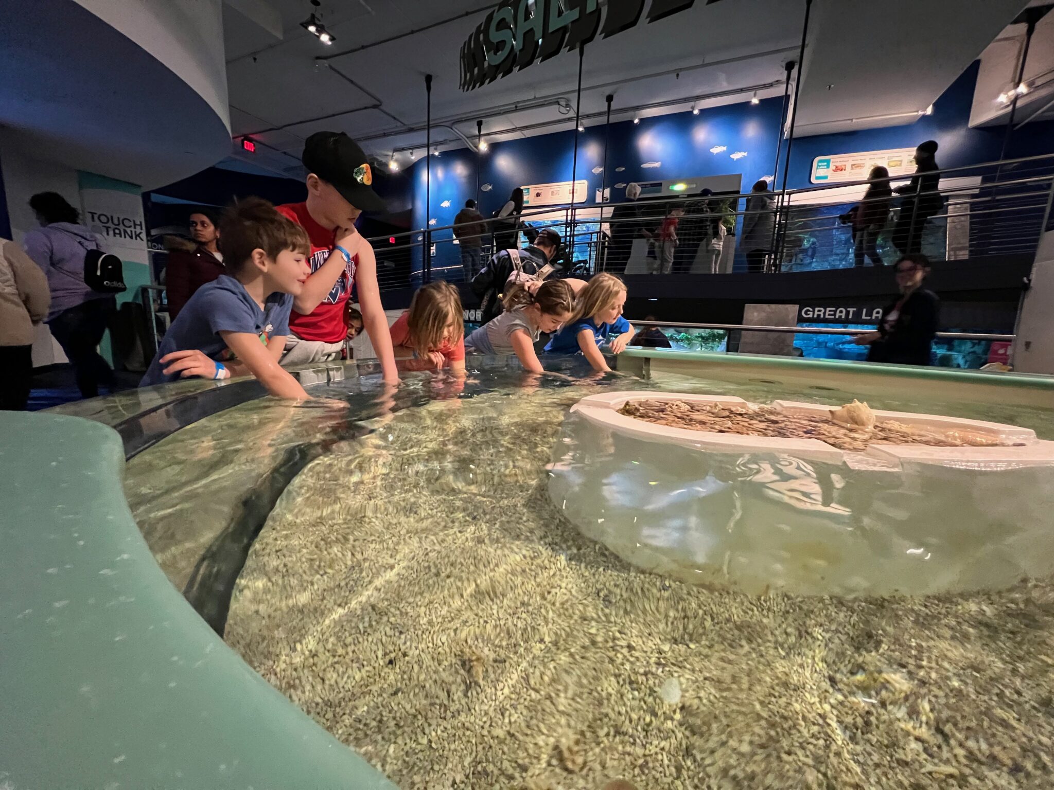 6 Splash-tastic Aquariums in Milwaukee Your Family Will Love (2024 ...