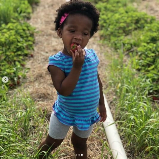 girl in strawberry field at Brehmer's U-Pick Farms Hartford Wisconsin