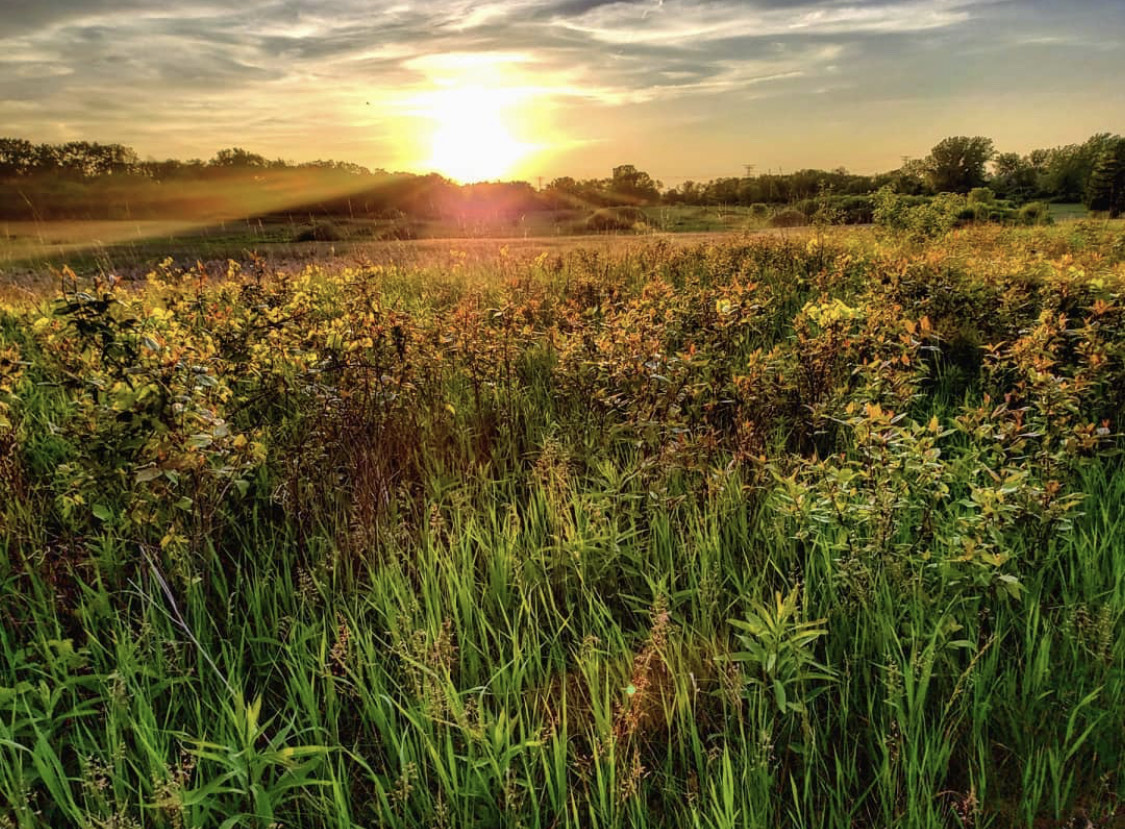 10 Inspiring Nature Centers Around Milwaukee (2024) - Milwaukee With Kids