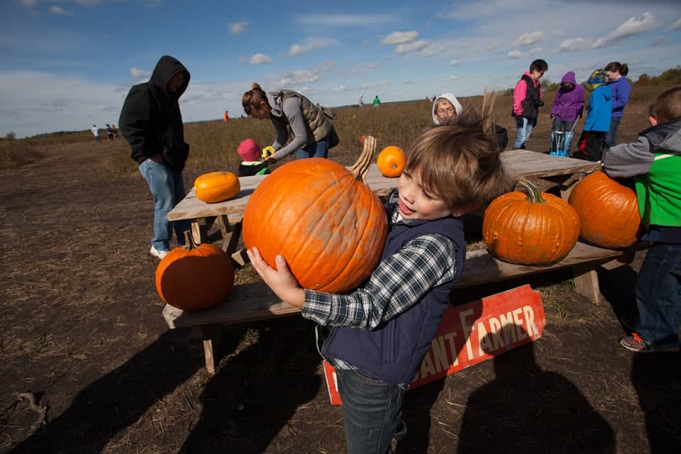 kid carrying pumpkin at Elegant Farmer Mukwonago Wisconsin