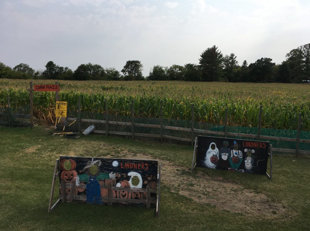 Lindner's Pumpkin Farm corn maze and big backyard New Berlin Wisconsin