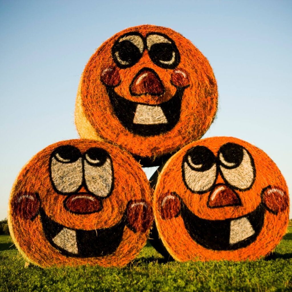 Pumpkin hay bales at Schuett Farms in Mukwonago Wisconsin