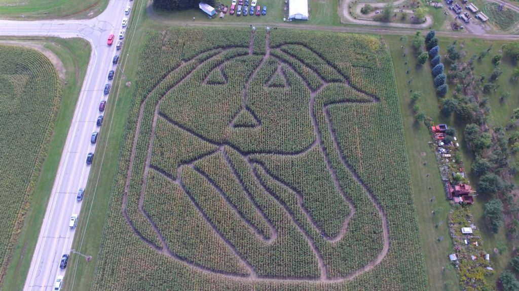 aerial drone shot of 2020 Corn Maze Design at Swan's Pumpkin Farm Franksville Wisconsin