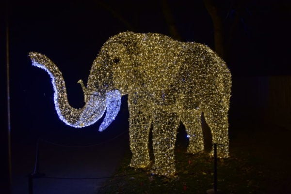 17 Best Milwaukee Holiday Lights Displays (2021) - Milwaukee With Kids