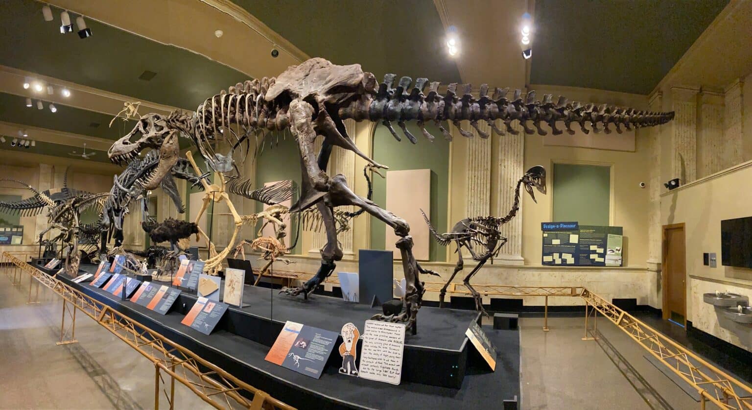 Here's What You'll Find at the Dinosaur Discovery Museum in Kenosha ...