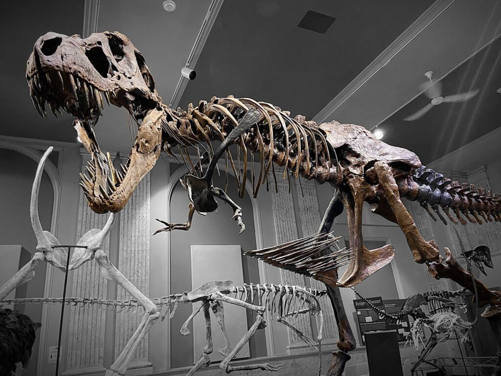 Here's What You'll Find at the Dinosaur Discovery Museum in Kenosha ...