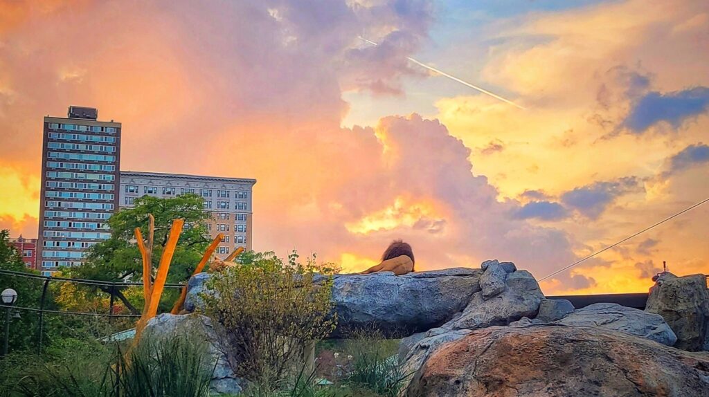 Pepper Family Wildlife Center at Lincoln Park Zoo