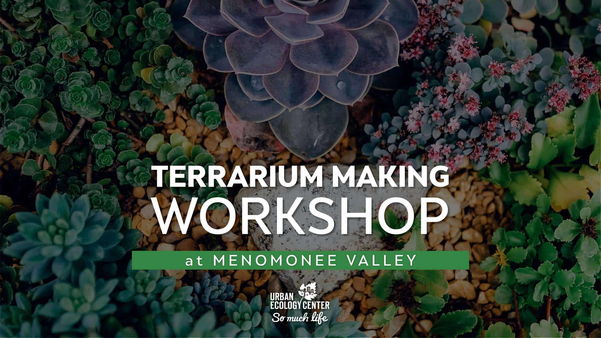 Terrarium Workshop at the Urban Ecology Center - Milwaukee with Kids