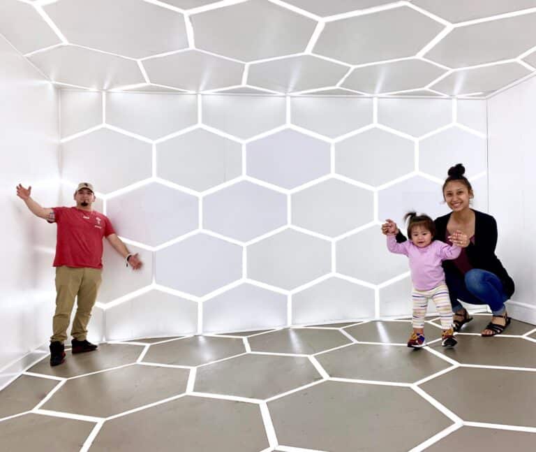 35 Best Things To Do With Kids In The Chicago Suburbs 2024   WNDR Museum Chicago 768x647 