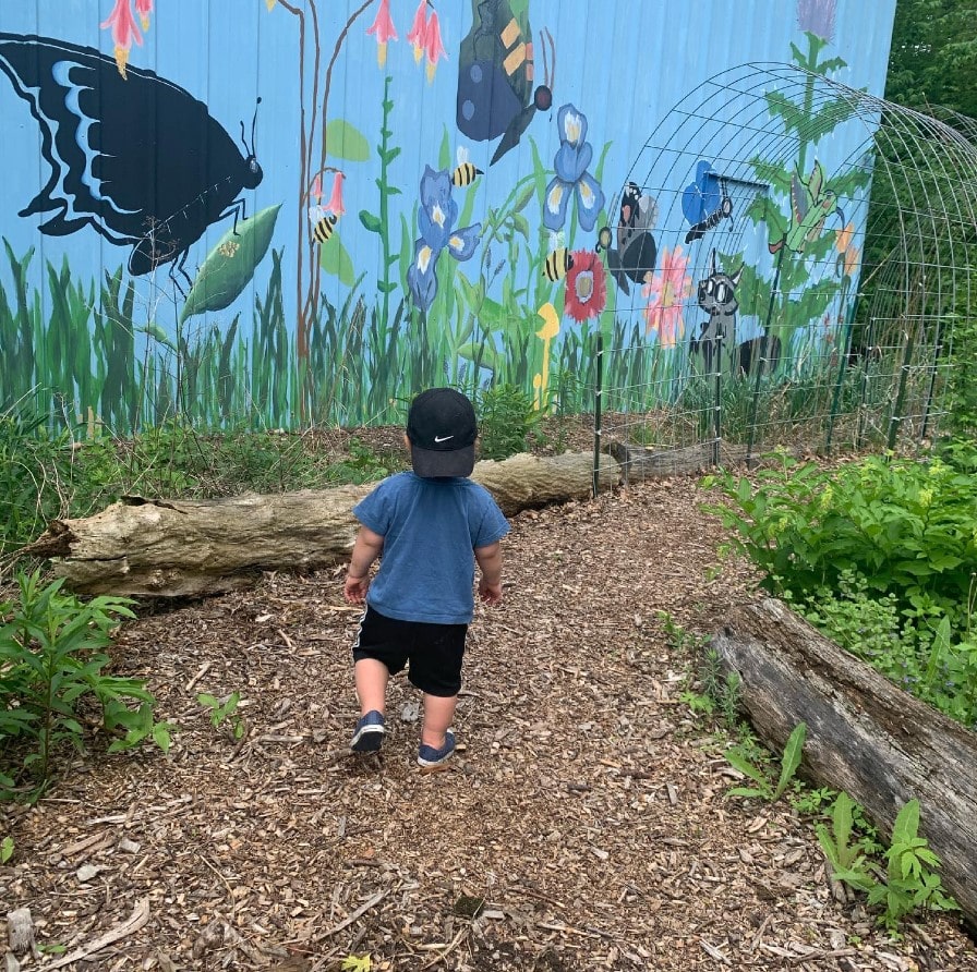 small boy in garden at Hawthorn Glen Milwaukee Wisconsin