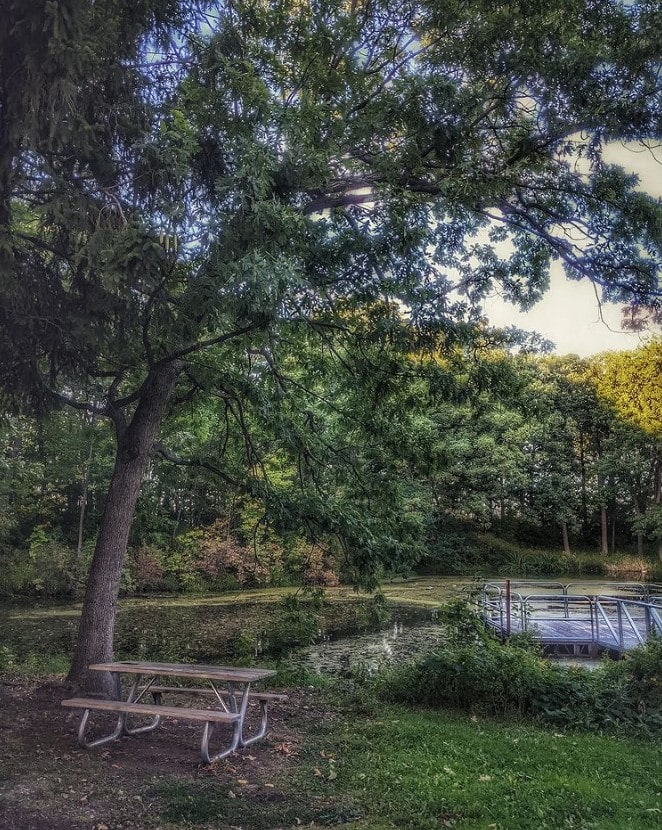 picnic table and fishing pond at Holler Park in Milwaukee Wisconsin