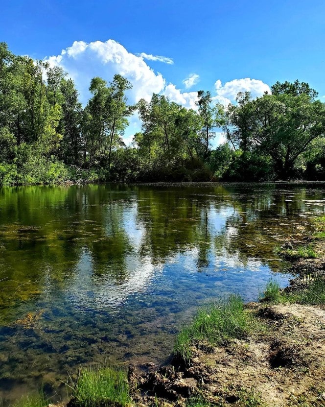 fishing pond at Homestead Hollow County Park Germantown Wisconsin