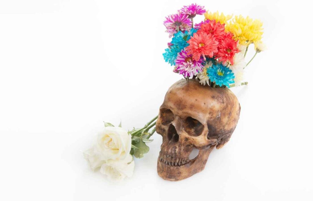 Skull with colorful flowers.