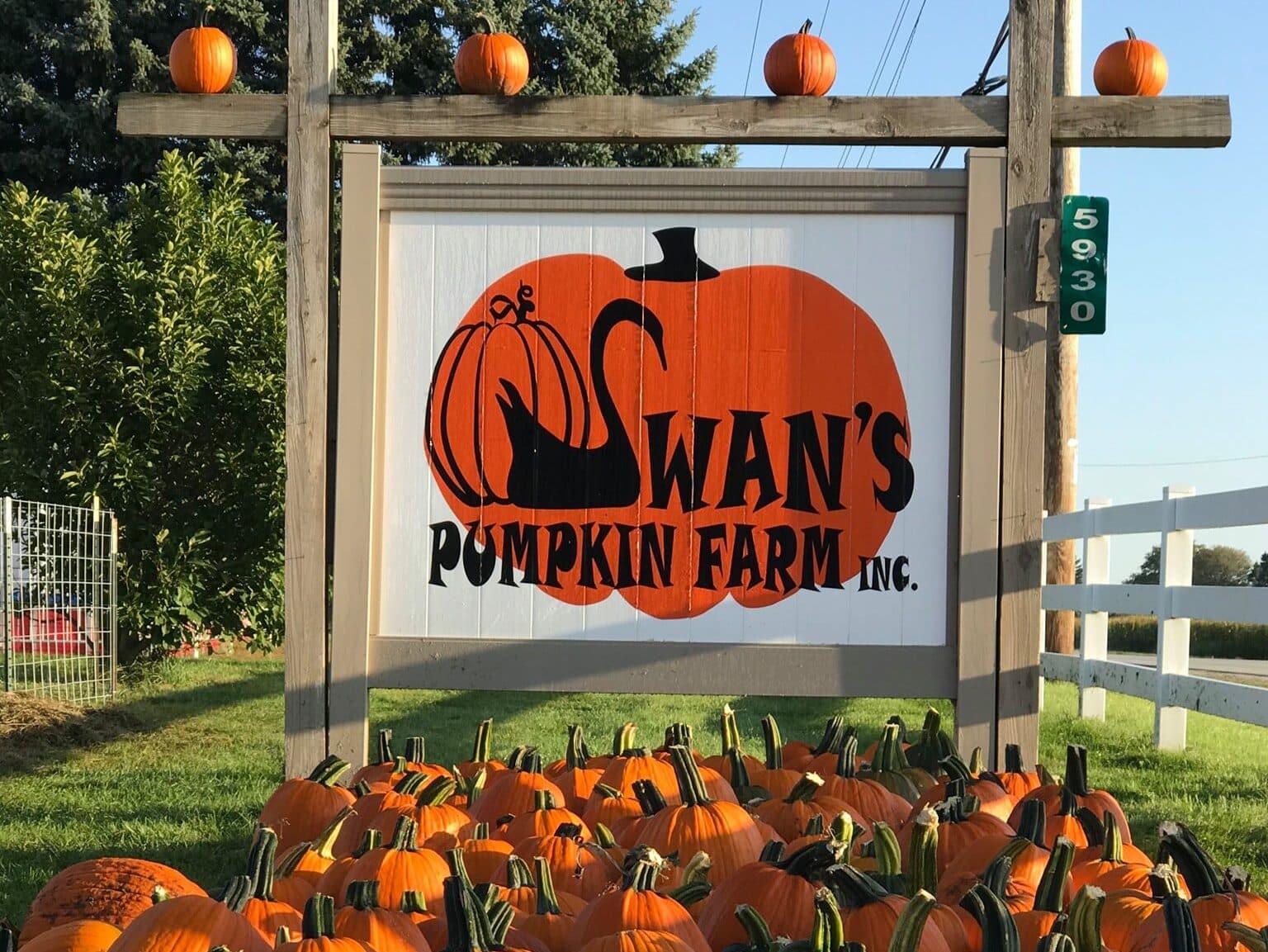 Swan's Pumpkin Farm Franksville Wisconsin