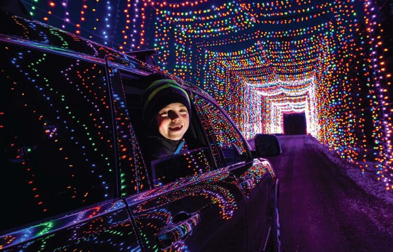 15 Best Milwaukee Holiday Lights Displays (2023) - Milwaukee with Kids