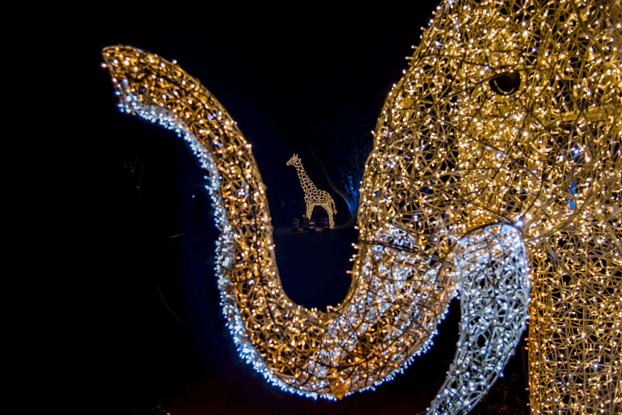 Milwaukee County Zoo’s Wild Lights 2024 What Families Can Expect This