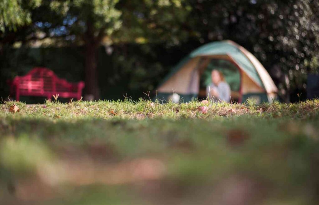 camping tent set up in backyard