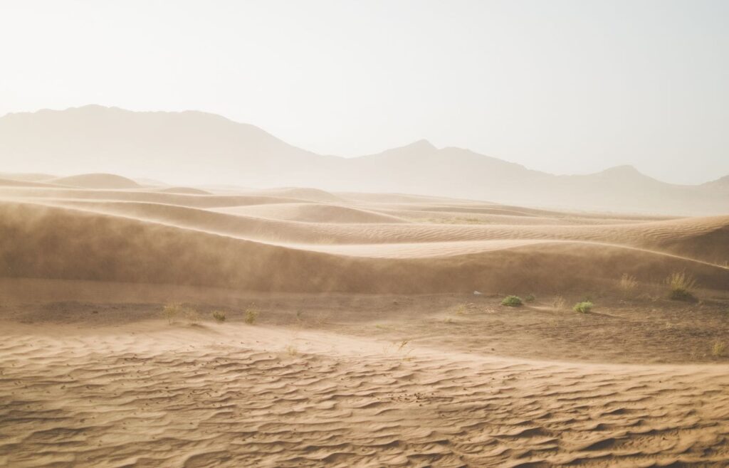 Gobi desert