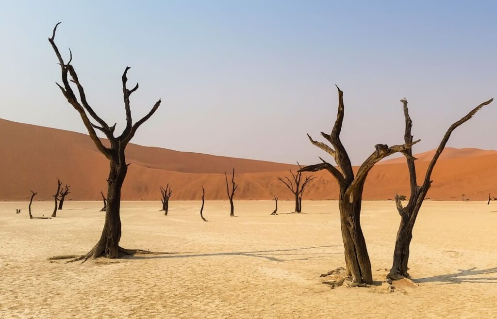 namib desert