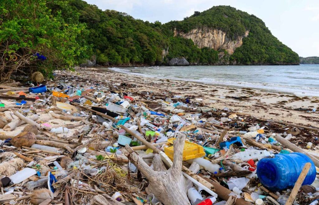 Beach pollution