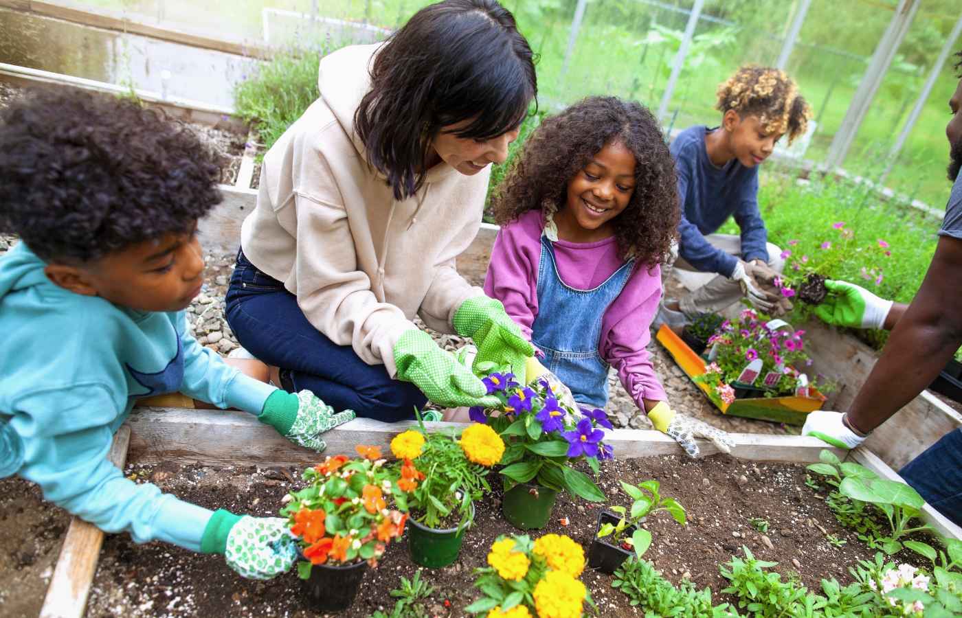 25 Fast-Growing Seeds For Kids To Plant Today (2024) - Milwaukee With Kids