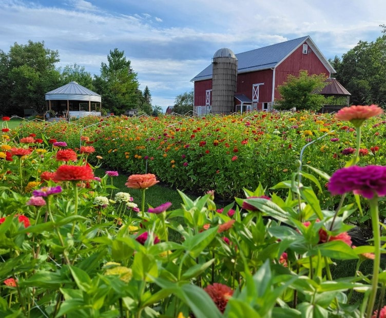 For the Love of Flowers Farm Franksville Wisconsin