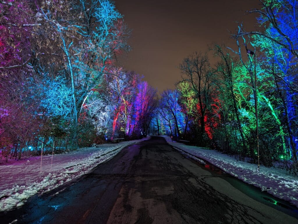 A vibrant path of illuminated trees in winter at the Winter Wonders holiday light display in Boerner Botanical Gardens, Franklin, Wisconsin.