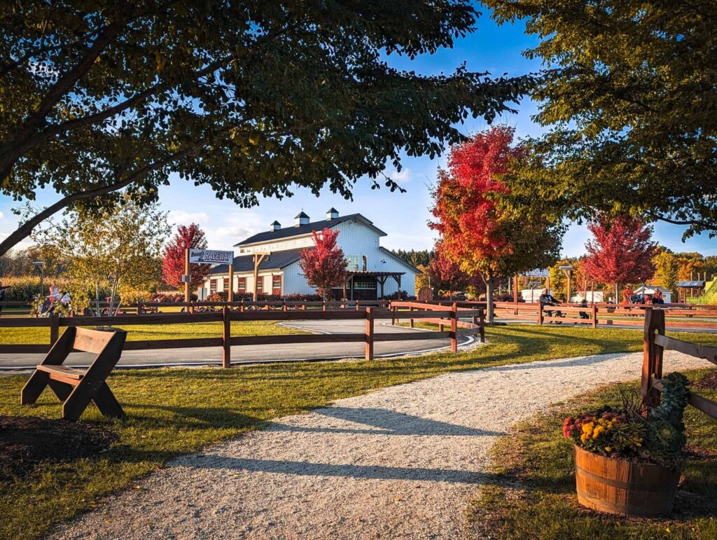 Fall foliage at Basse's Taste of Country