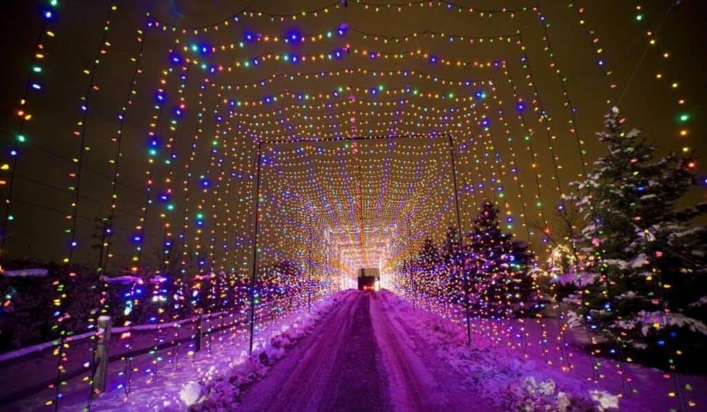 A long tunnel of colorful holiday lights stretches along a snowy path, inviting cars to drive through and experience the beautiful, glowing display at Country Christmas.