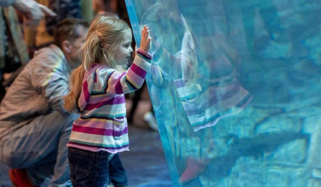 A young girl in a colorful striped sweater presses her hand against a large aquarium window, intently watching the underwater scene.