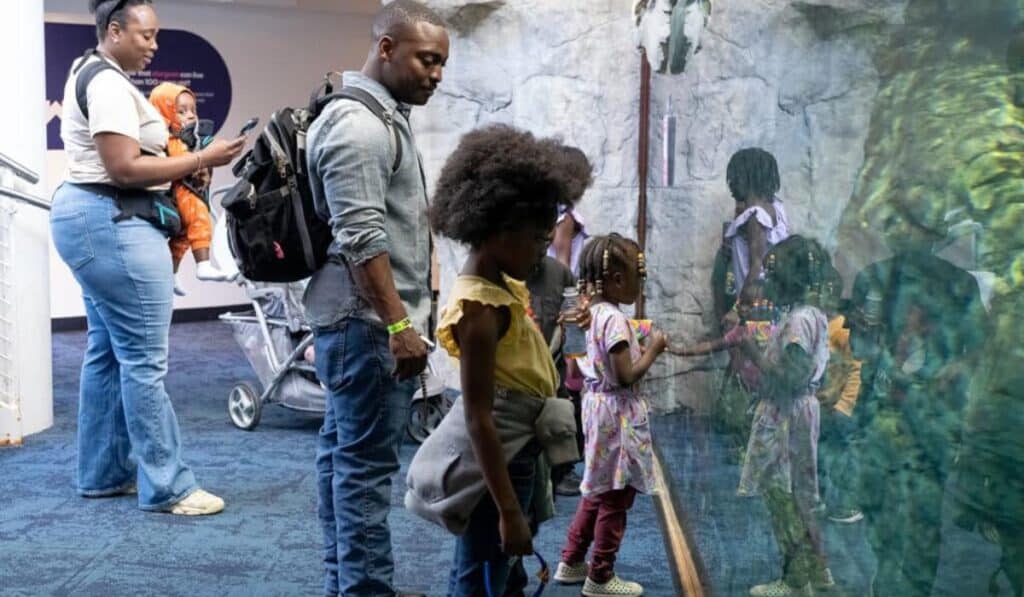 A family stands close to an aquarium display, with two young girls looking through the glass. The scene captures their curiosity as they observe the fish and aquatic environment.