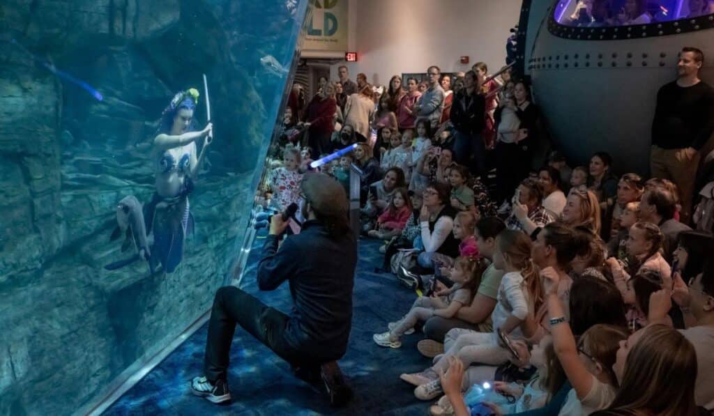 A large audience of families and children watches a live performance by Mermaid Echo at the Reiman Aquarium. The mermaid, dressed in a colorful costume, engages the crowd from within the large aquarium tank.