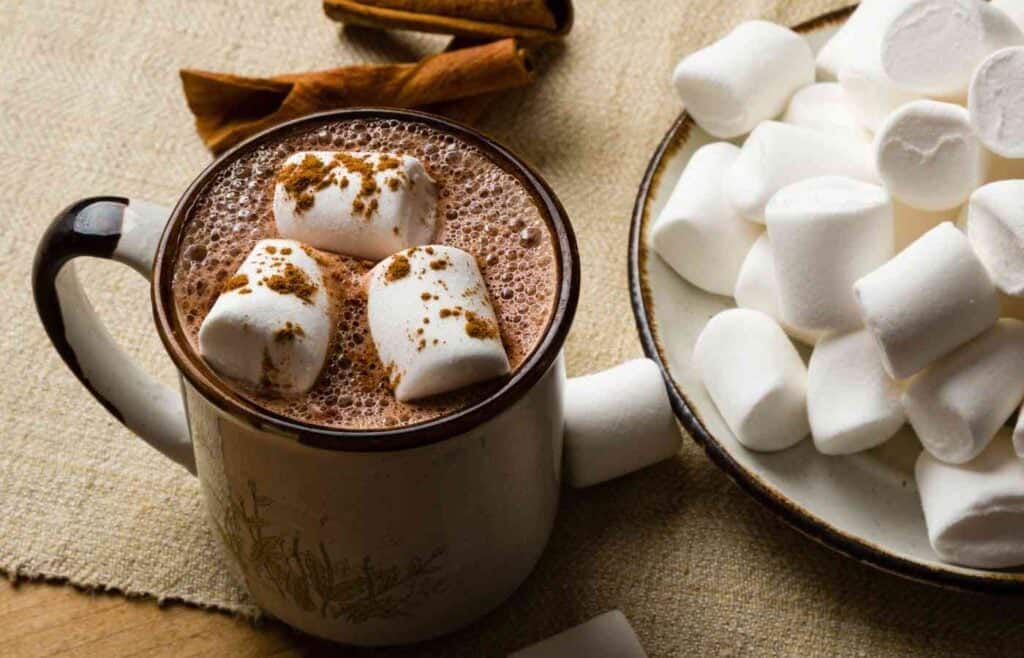 Mug of hot cocoa with marshmallows and cinnamon sticks for a cozy hot cocoa bar birthday party