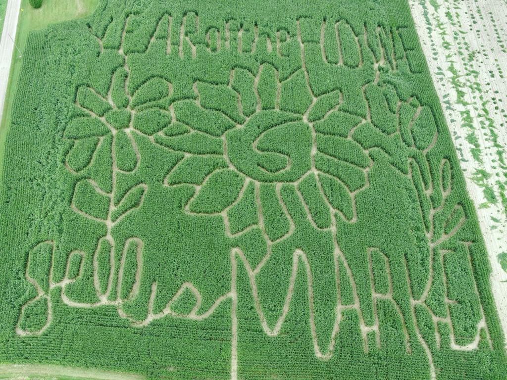 Jelli's Market corn maze 2024 Helenville Wisconsin