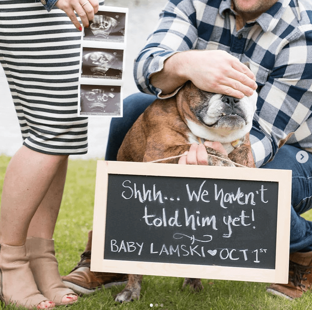 A joyful pregnancy announcement featuring a dog sitting next to a sign.