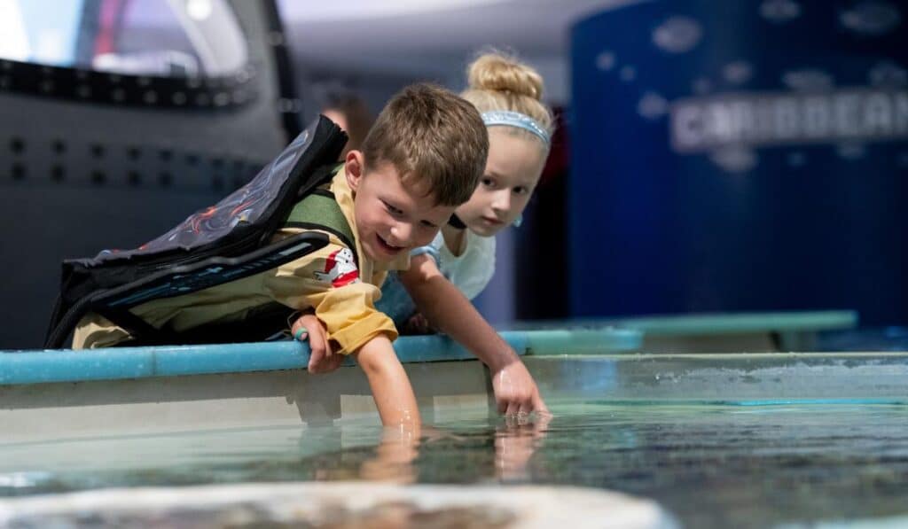 Two young children lean over the Touch Tank, fascinated by the marine animals in the shallow water. One child wears a backpack and enthusiastically reaches out to touch the water.