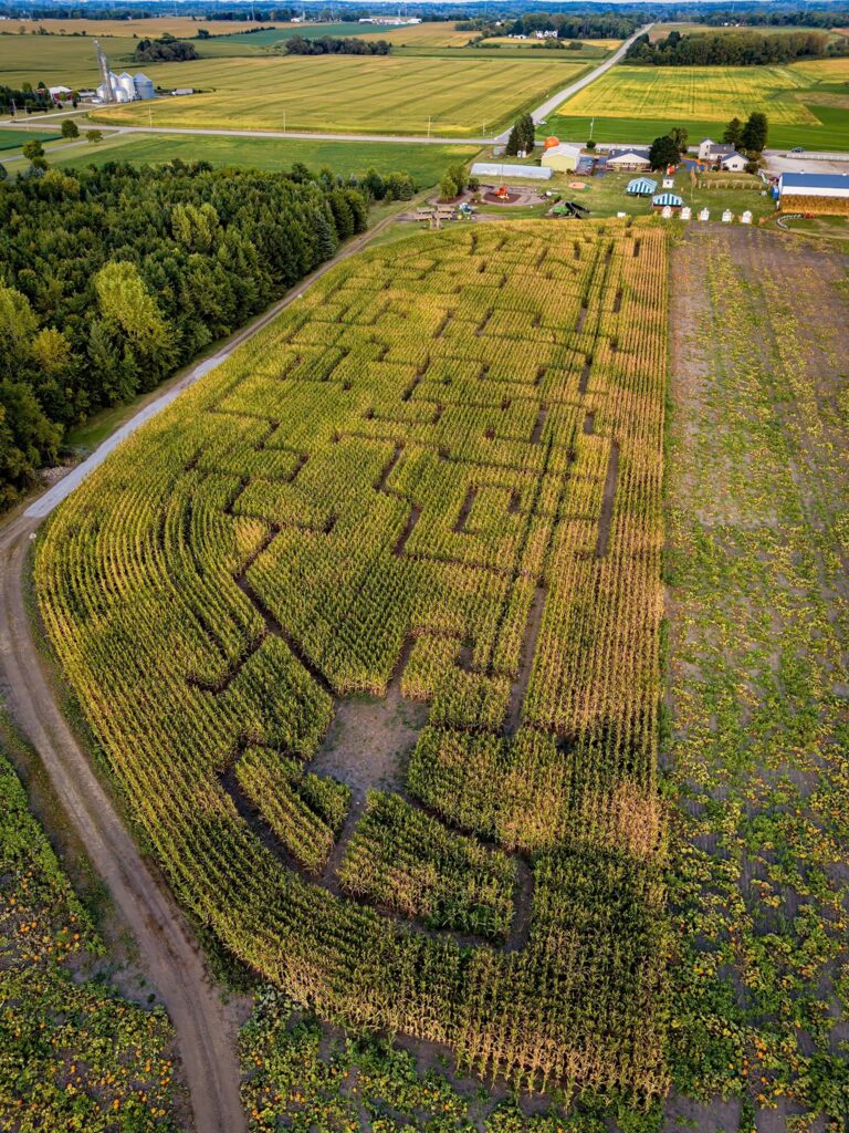 Swan's Pumpkin Farm corn maze 2024 Franksville Wisconsin Aaron Johnson