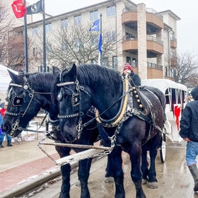 Two black horses pulling a holiday carriage at the Menomonee Falls Christkindl Market, with festive decorations and people enjoying the market in the background.