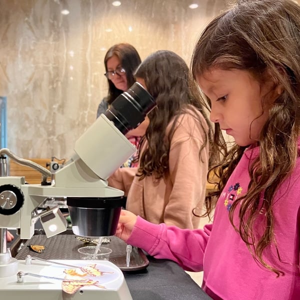  Girl educates herself with butterfly wings under a mircroscope