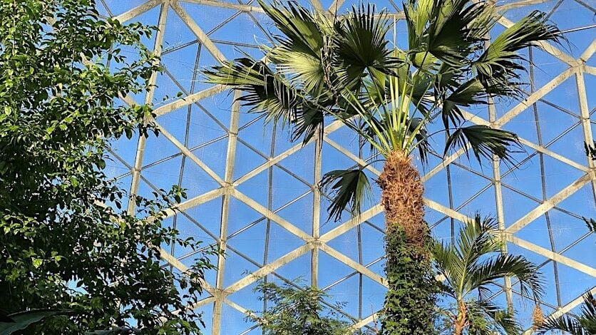 Winter in the Tropics A Family Fun Fest Mitchell Park Domes Milwaukee Wisconsin